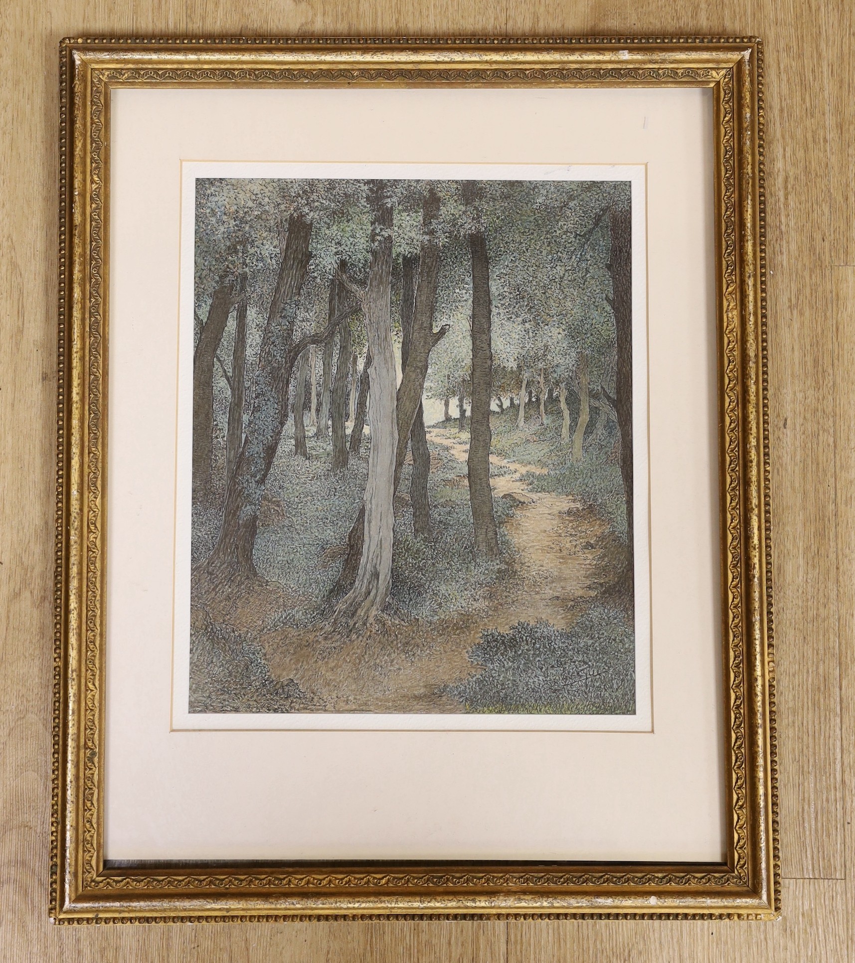 C. Guy RBA, ink and watercolour, 'Lighthall' a woodland path, signed, 29 x 24cm